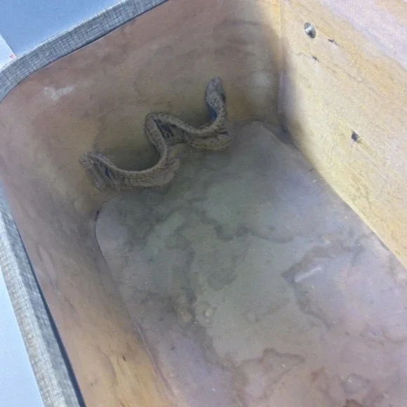 Vintage HORN Rice Stix St Louis Train Case No Key HTF luggage carry on lined - Picture 10 of 12